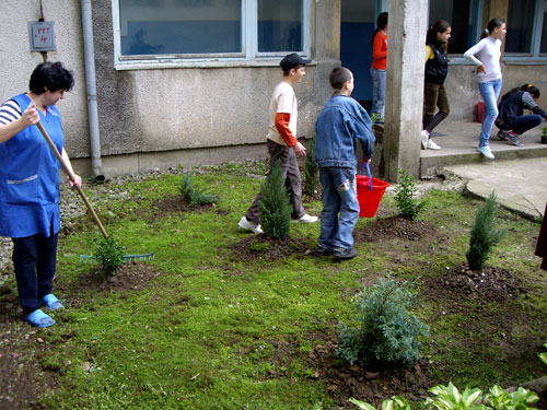 Foto plantat arbori la Liceul de Arta (c) eMM.ro
